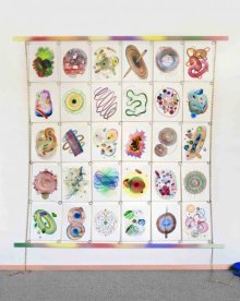 O-68 Simone albers on_the_universal_nature_of_natural_forms web