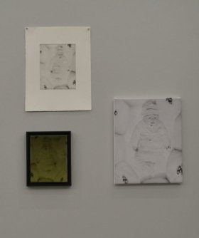 wanda tuerlinckx